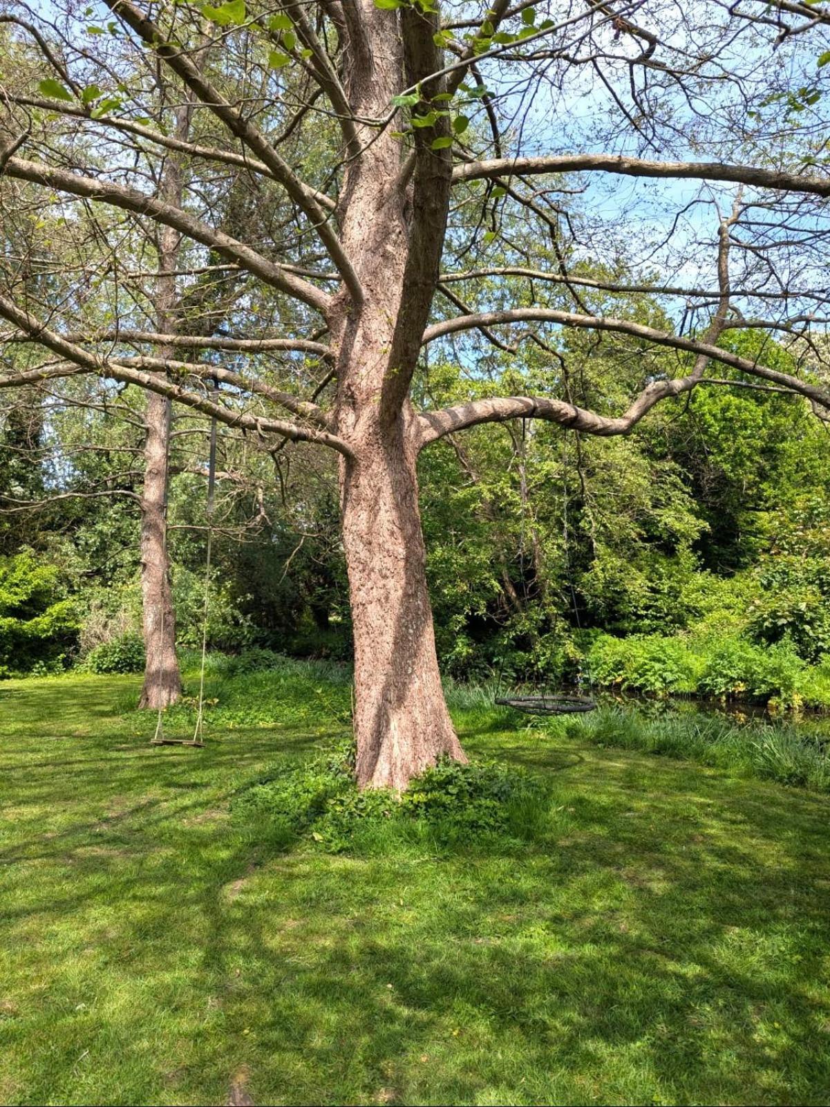 Unique & Rural Child Friendly Annexe With Large Gardens, Games & Tennis Court - Chichester Holiday Properties Zewnętrze zdjęcie