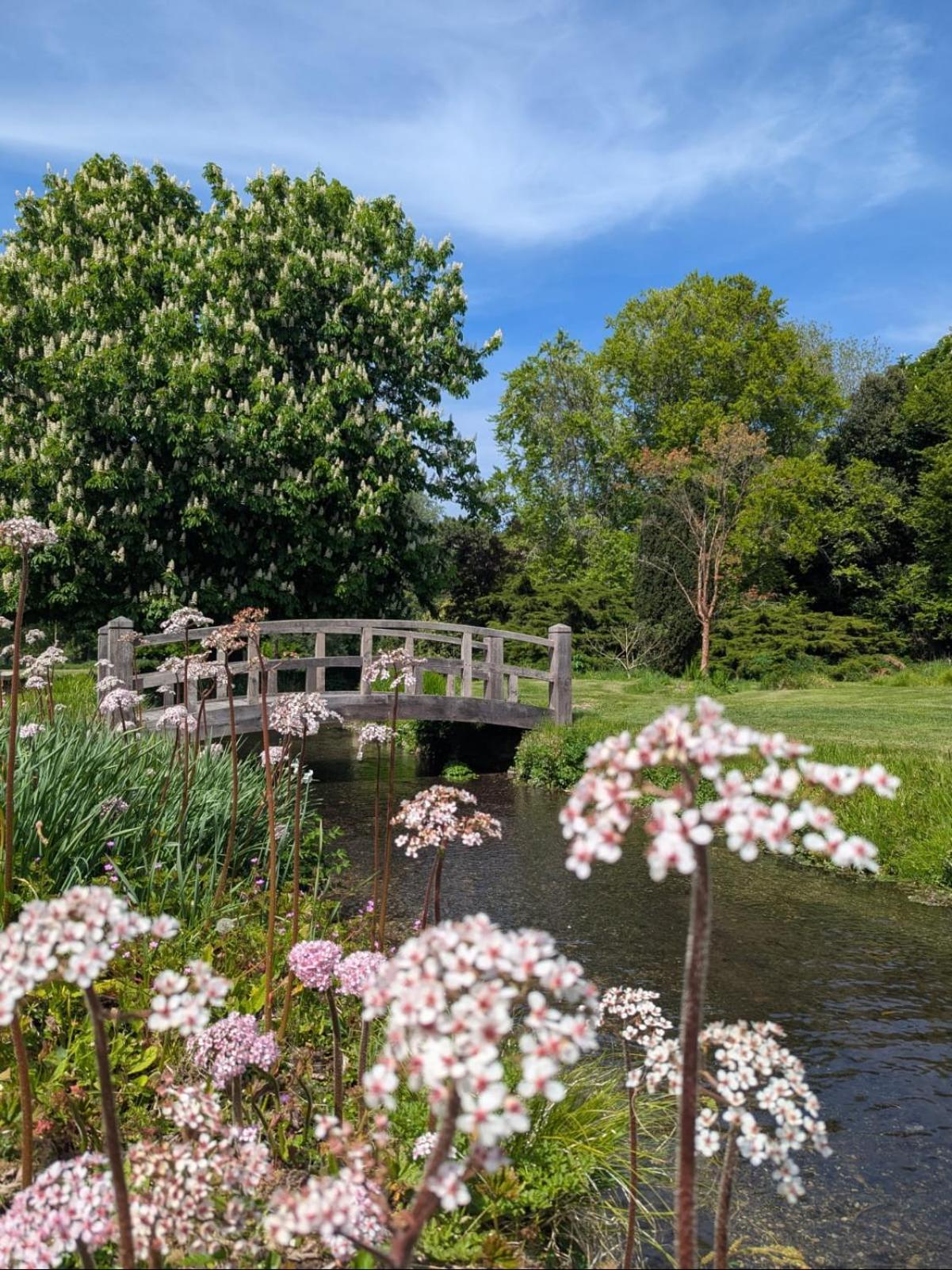 Unique & Rural Child Friendly Annexe With Large Gardens, Games & Tennis Court - Chichester Holiday Properties Zewnętrze zdjęcie